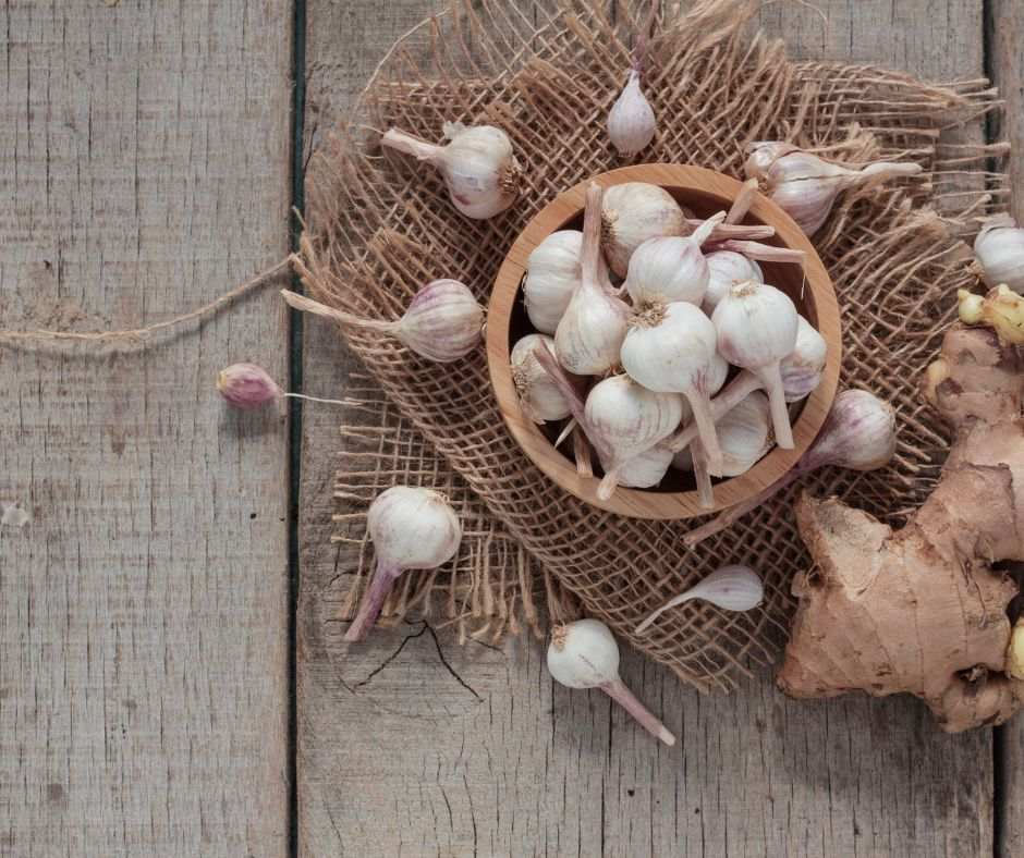 blog post four foods herbs for winter wellness jennifer raye