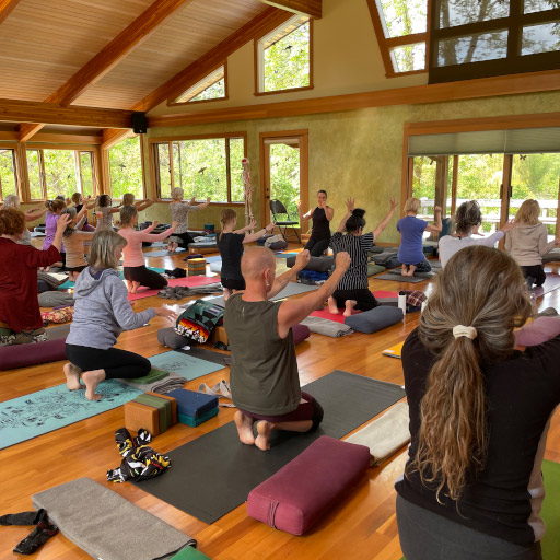 Cozy Yoga for Healing — Amethyst Retreat Center