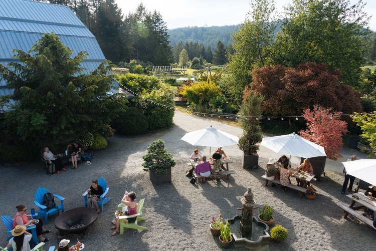 yoga and meditation retreat