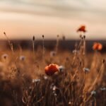 inner-path-seasonal-school-membership-event