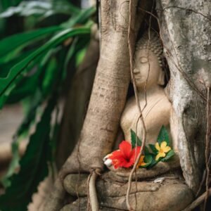 thailand-retreat-buddha