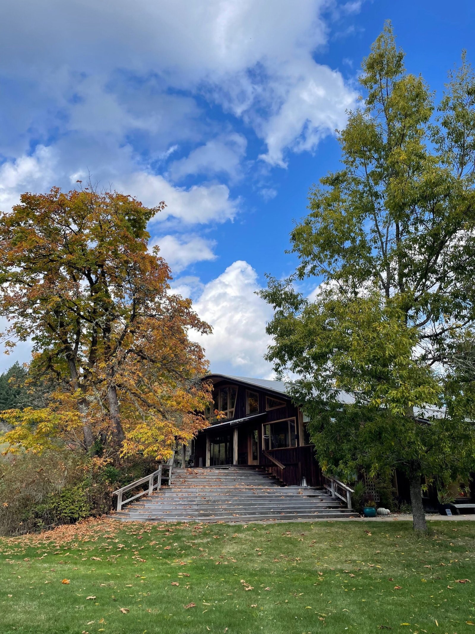 yoga-retreat-salt-spring